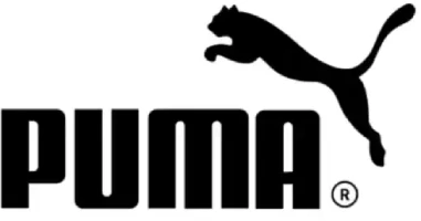 puma-logo-design-1024x559